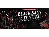 Black Bass Festival 2017 Soir