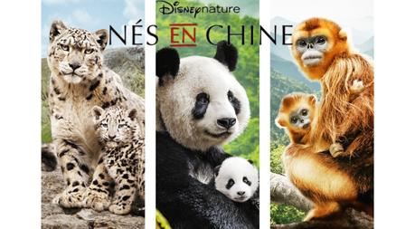 [Cinéma] Nés en Chine : Très beau film animalier