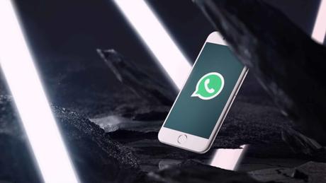 Vers une application WhatsApp version entreprise