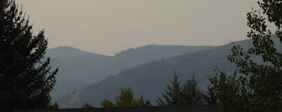 Pas de fumée sans feu ...