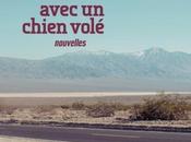 Courir clair lune avec chien volé Callan WINK