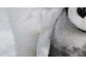 [Sortie Blu-ray] L’Empereur loin d’être manchot