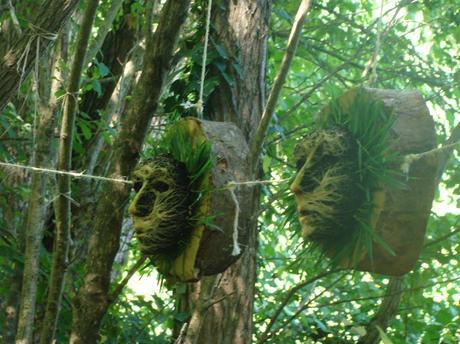 quand ton masque craqueront