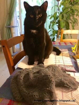 KAL Tricot d'art: Une belle étoile comme Mya KAL Tricot d'art: Une belle étoile comme Mya
