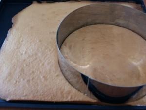 Entremet Fraise Chocolat Blanc et son Insert Marbré Cliquer sur les photographies pour les agrandir