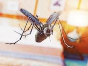 INFECTION virulence microbe varie selon l'heure rendez-vous