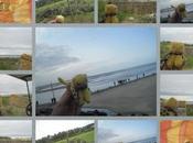 12/9/2017 voyage doudou-chat Baie Somme