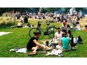 L’INFO TOUT COURT organise pique-nique anniversaire