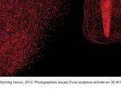 Galerie Lelia Mordoch MYrvoLD Transforming Venus Septembre Octobre 2017