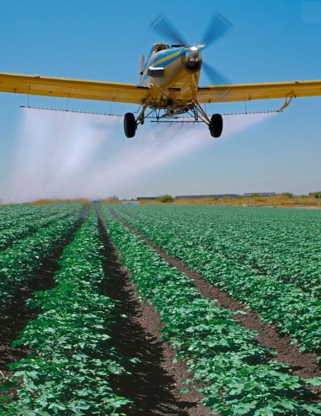 ACIDE FOLIQUE : Il contre le risque d'autisme lié aux pesticides