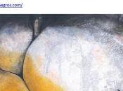 Exposition LILLE ETIENNE GROS partir Septembre 2017 Octobre