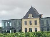 Verticale Château Pédesclaux 5ème Classé Pauillac.