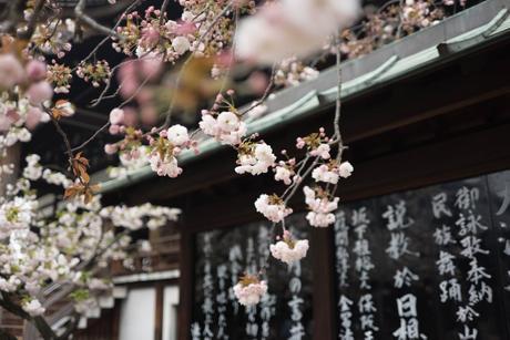 Tour du monde des rituels de beauté : ASIE (Japon)