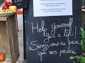 deux frères lions Hédi Tillette Clermont-Tonnerre