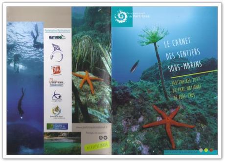 Guide des sentiers sous-marin sur l'aire du coeur de Parc : Parc National de Port-Cros guide sentiers sous-marins