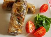 Nems riz-lentilles-poivrons-aromates (Vegan)