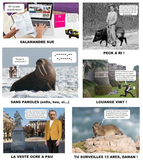 CES ANIMAUX QUI ANIMENT MOTS - VIII