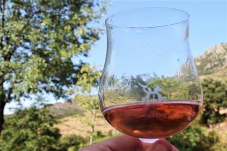 Le nectar de Jean-Jacques Oms au coeur de ses vignes - vins bio en roussillon