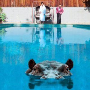 Sparks, « Hippopotamus », 24ème album de pop-glam !