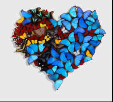 SN expose dans la Cour Jardin de l’Hotel Plaza Athénée du 20 septembre au 15 novembre 2017