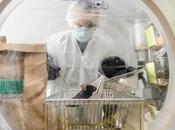 MICROBIOME INTESTINAL bactéries nous volent nutriments essentiels