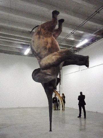 Blog de carlitablog : Tendance et Rêverie, Arts : Superdome au Palais de TOKYO