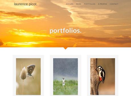 16 sites internet de photographes animaliers (mais pas que)