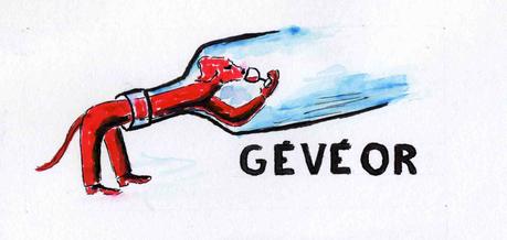 35)Gévéor