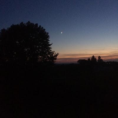 1917 : le chemin des Dames