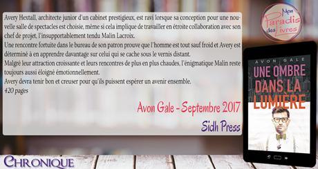 Une ombre dans la lumière – Avon Gale
