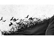 [Critique] Gotham saison épisode because Batman