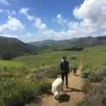 Airbnb : Dream Airstream à Malibu