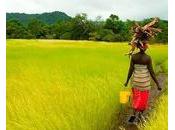 Nigeria droits propriété pour stimuler croissance économique