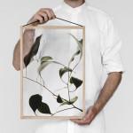 GREEN : Ethereal Floating Leaves Project