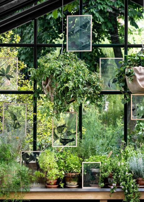 floating-leaves-by-moebe-4