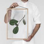 GREEN : Ethereal Floating Leaves Project