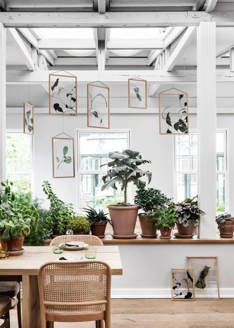 floating-leaves-by-moebe-1