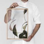 GREEN : Ethereal Floating Leaves Project