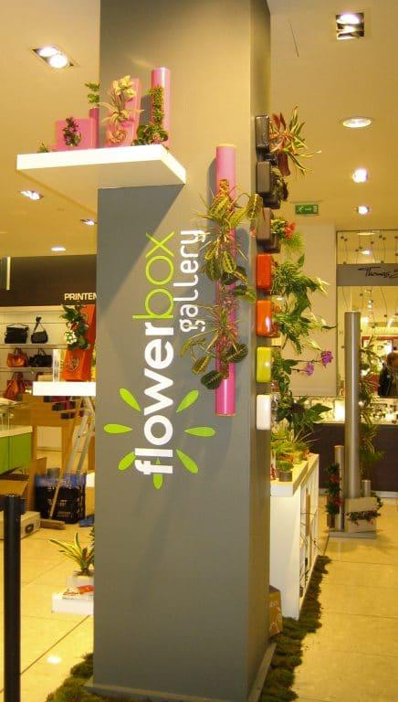Showroom pour Flowerbox Lille au Princtemps de Lille