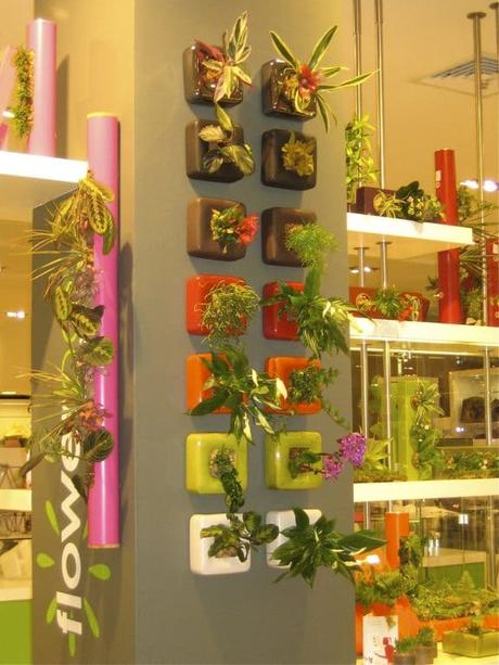 Showroom pour Flowerbox Lille au Princtemps de Lille