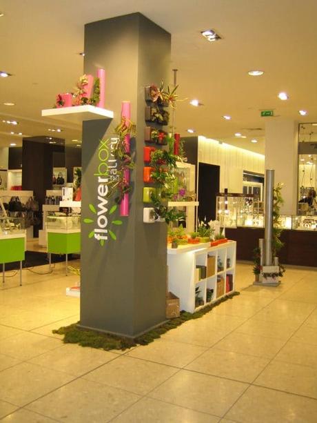 Stand pour Flowerbox Lille au Princtemps de Lille