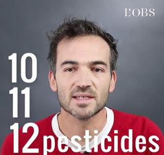 12 pesticides
