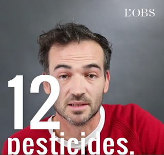 12 pesticides