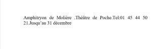Regard vers le théâtre de Pierre-Marc LEVERGEOIS  « AMPHITRYON »  Théâtre de Poche – jusqu’au 31 Décembre 2017