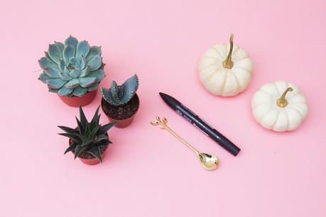 [ DIY ] Jardinière d'Automne pour Succulentes