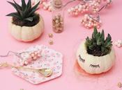 Jardinière d'Automne pour Succulentes