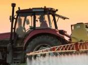 gouvernement revient l'interdiction glyphosate