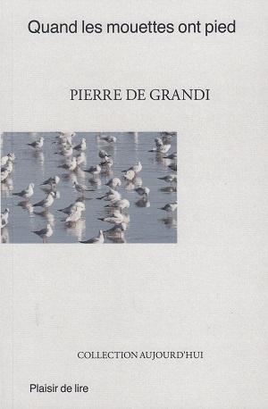 Quand les mouettes ont pied, de Pierre de Grandi