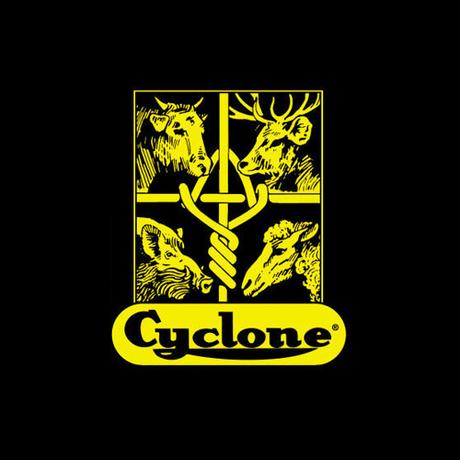 CYCLONE-IMAGE-LOGO
