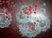 Ralentir réplication virale dans tractus gastro-intestinal